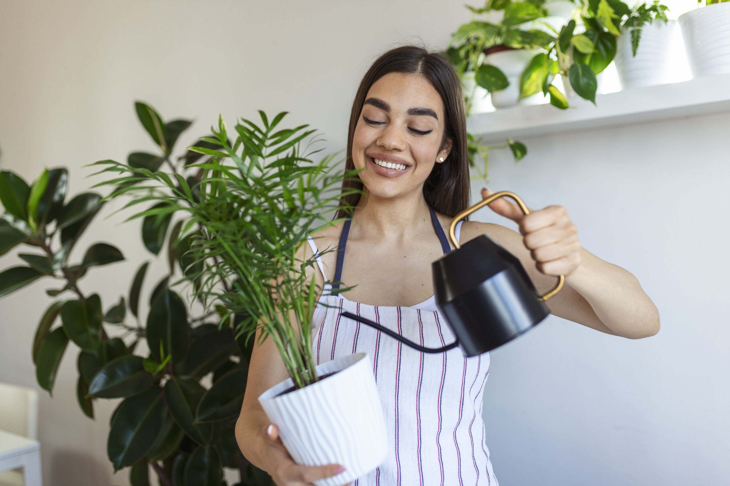 Joyful young woman enjoys her time at home and watering her plant by the window at home. woman takes care of her fern water on the tree on a relaxing day in the garden at home.